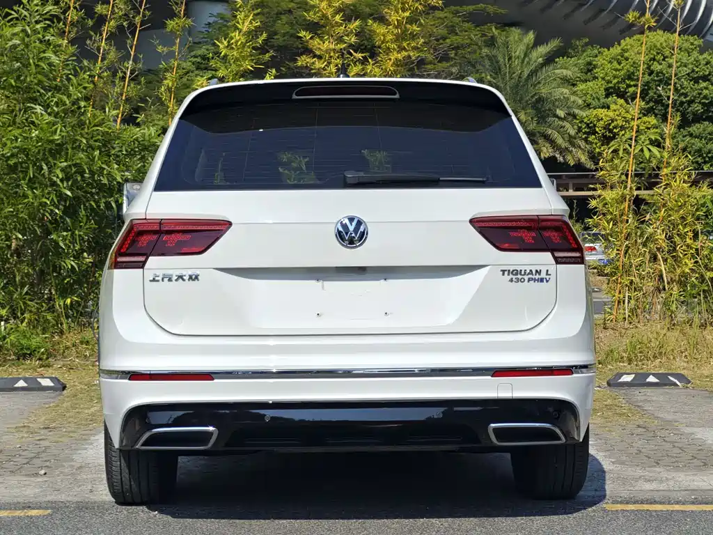 Volkswagen Tiguan L New Energy 2020 — фото 5