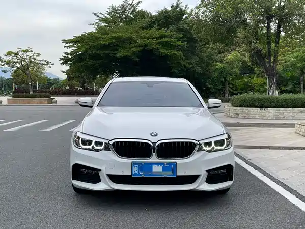 BMW 5 Series 2019