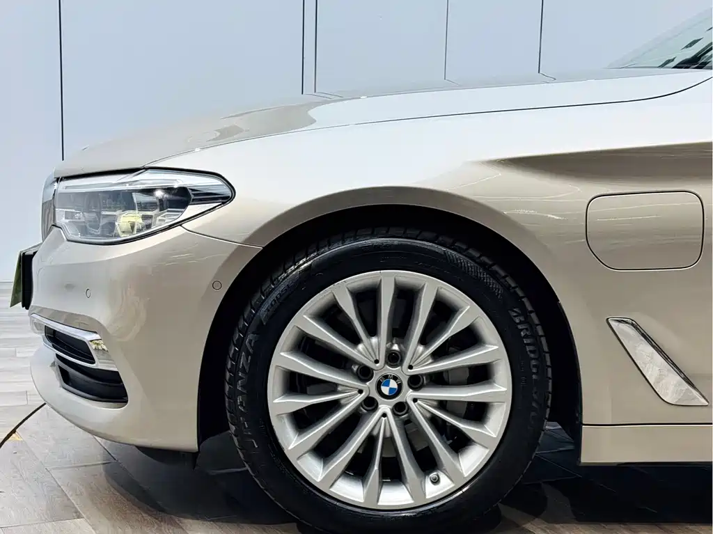 BMW 5 Series New Energy 2019