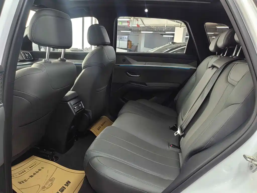 BYD Song Pro New Energy 2025 — фото 10