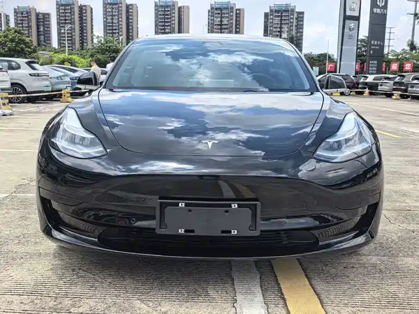 Tesla Model 3 2020