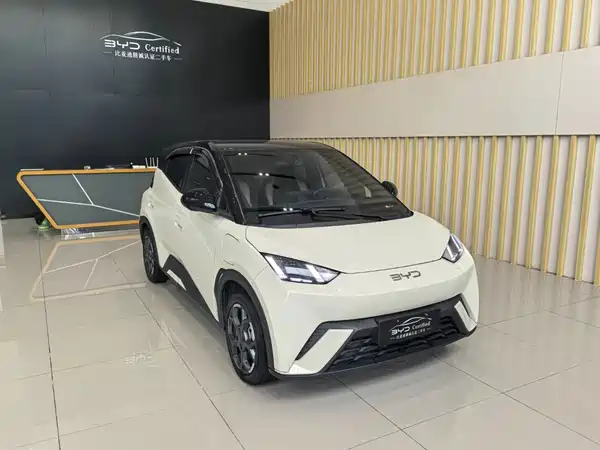 BYD Seagull 2024