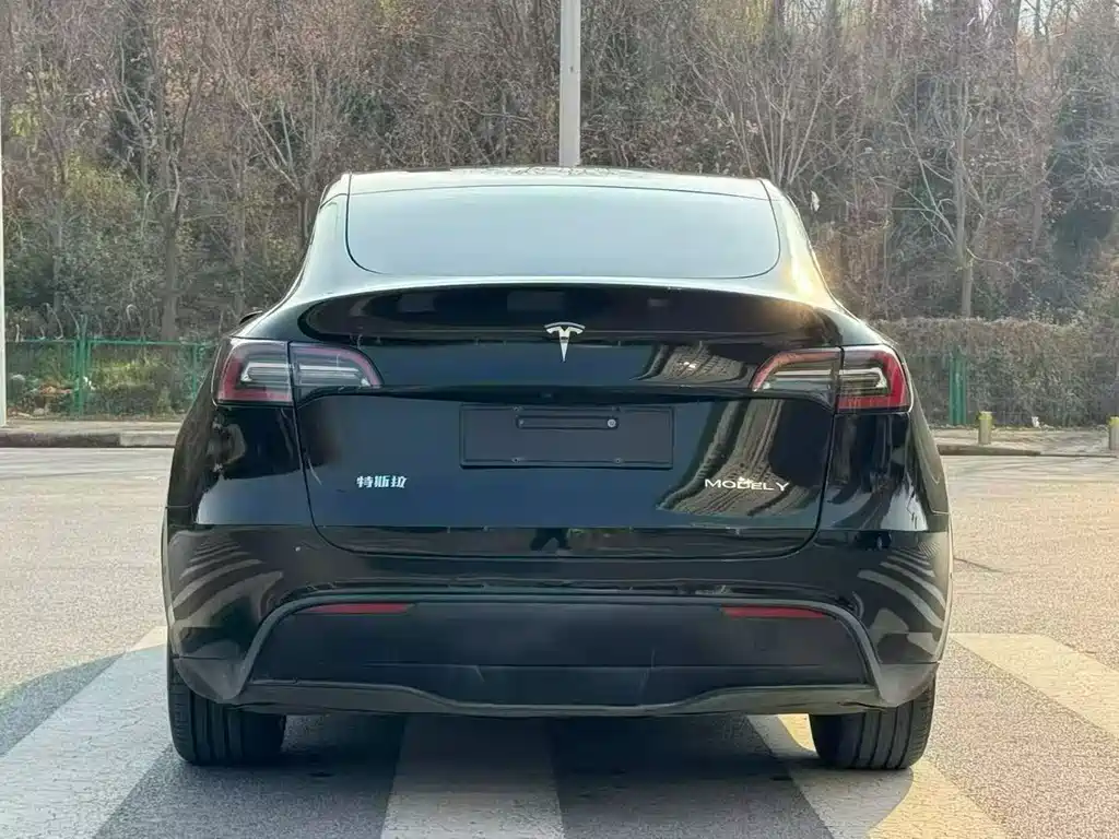 Tesla Model Y 2021 — фото 8