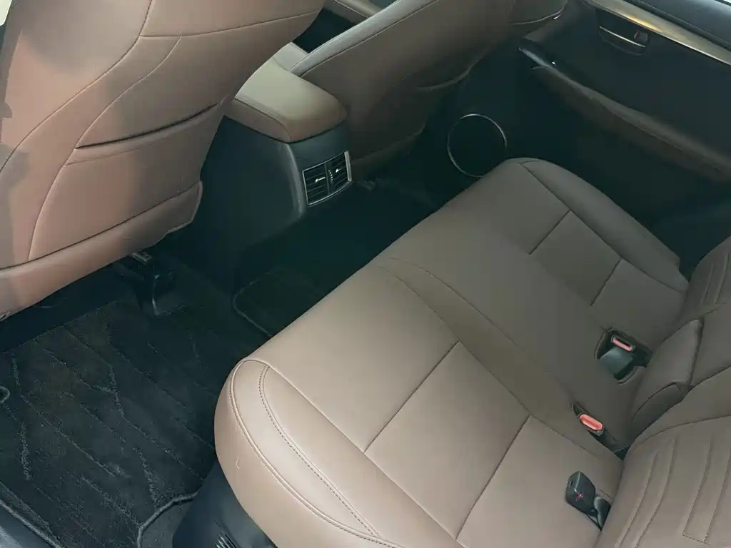 Lexus NX 2020 — фото 13
