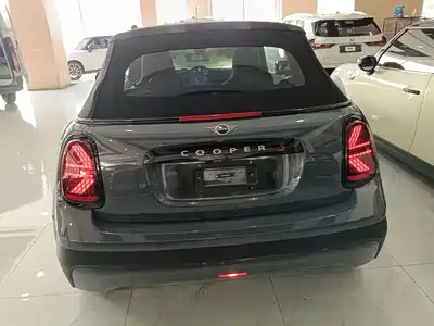 MINI MINI 2025