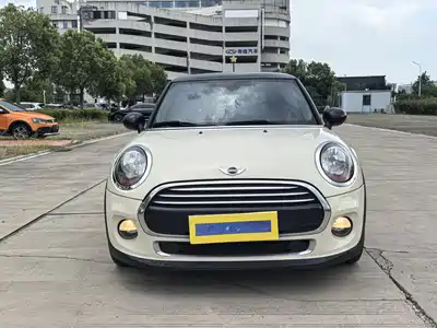 MINI MINI 2017