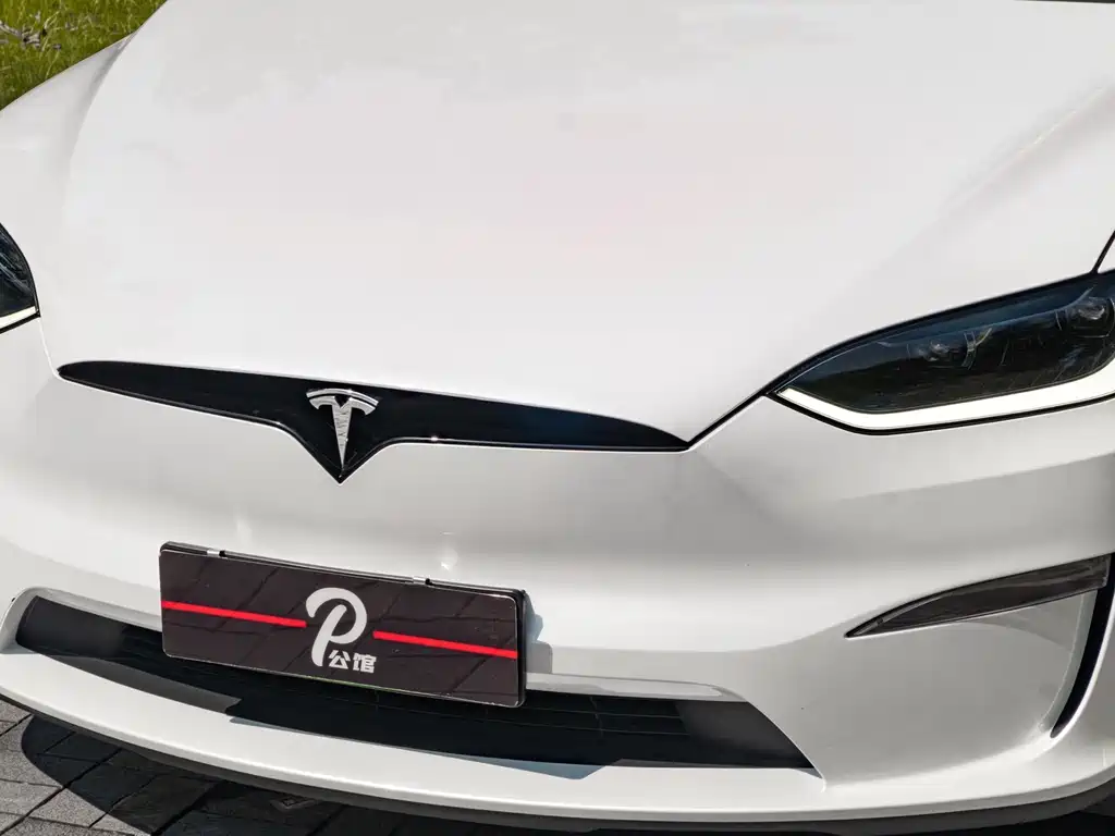 Tesla Model X 2023 — фото 7