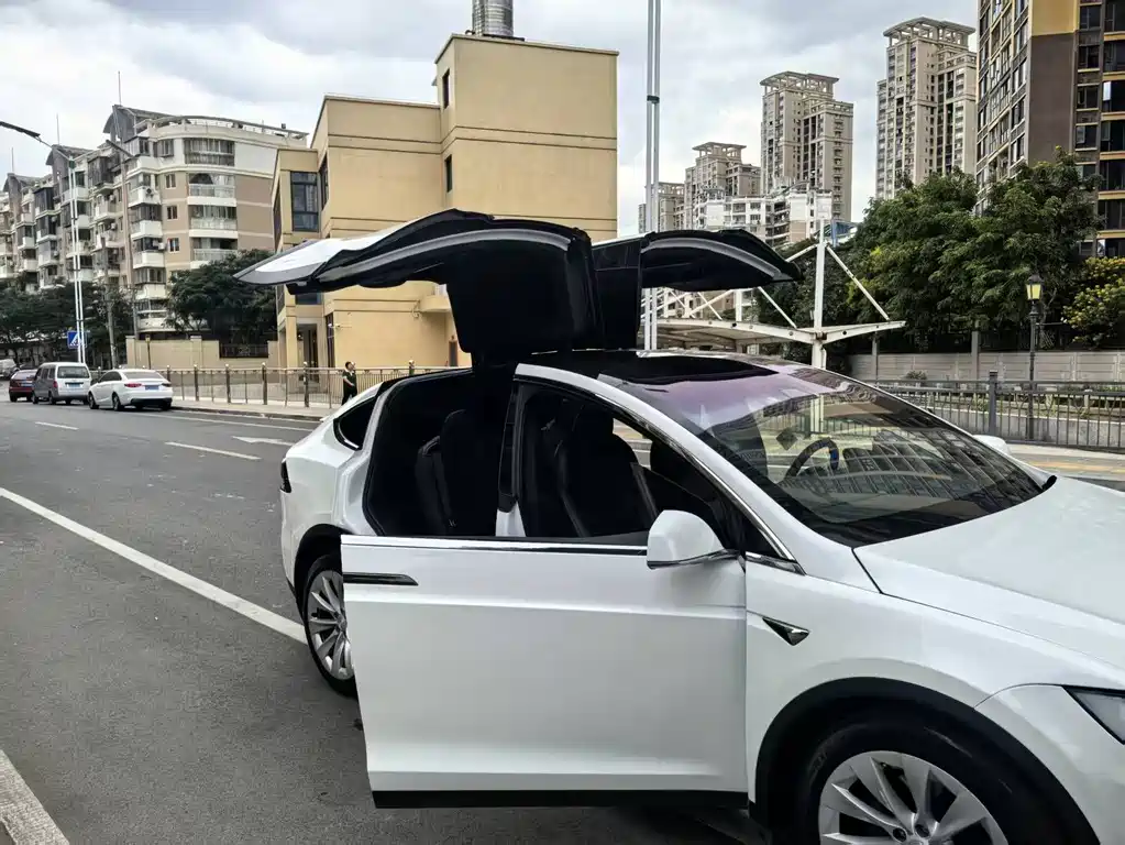 Tesla Model X 2020 — фото 6