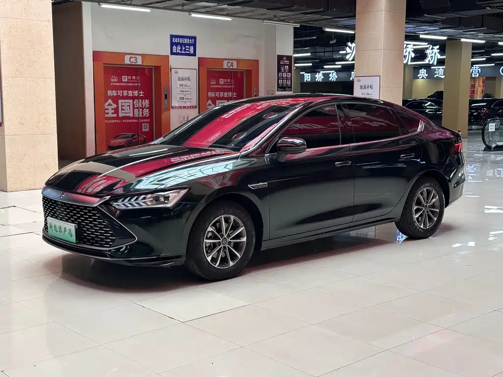 BYD Qin PLUS 2024 — фото 1