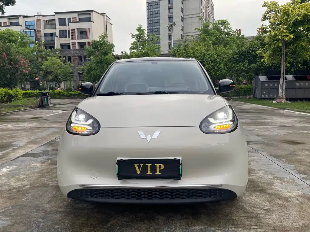 Wuling Bingo 2024