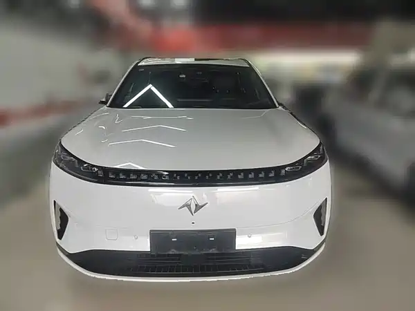 Dongfeng e008 2025