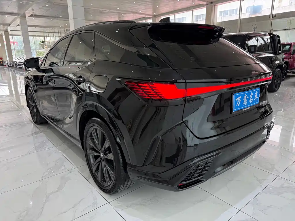 Lexus RX 2023 — фото 16