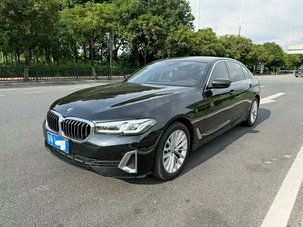 BMW 5 Series 2020