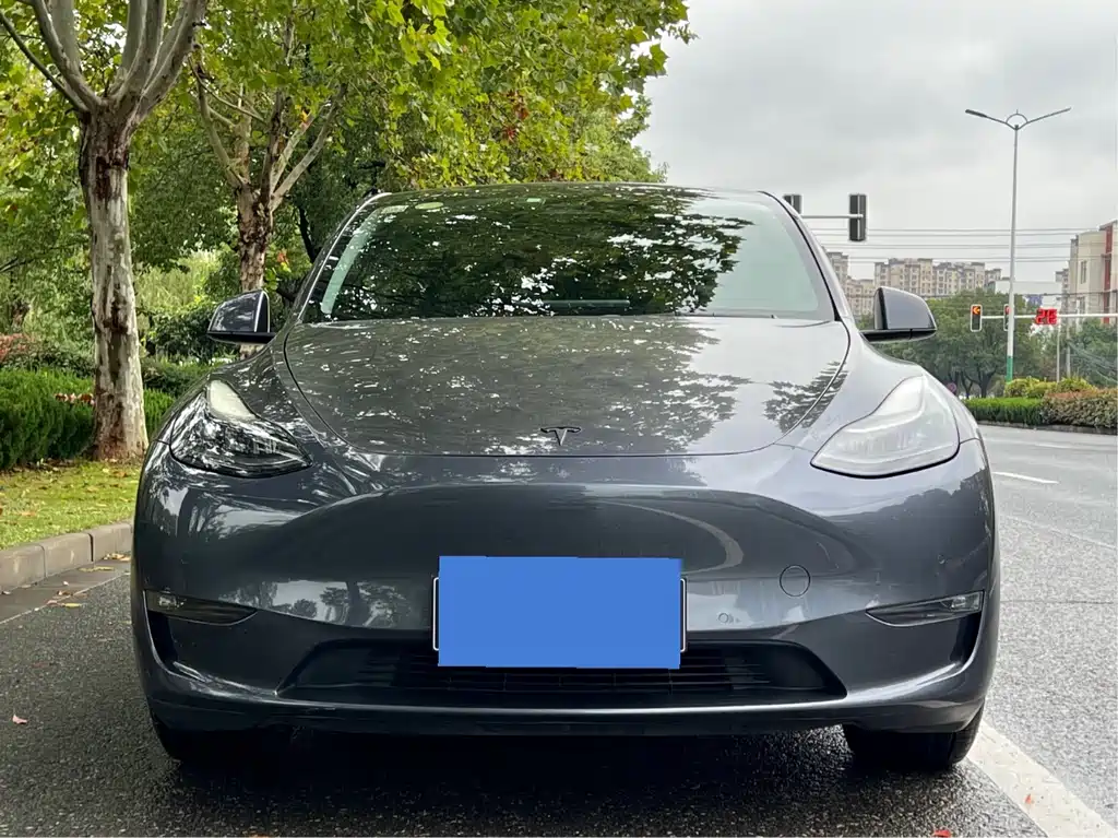 Tesla Model Y 2021 — фото 8