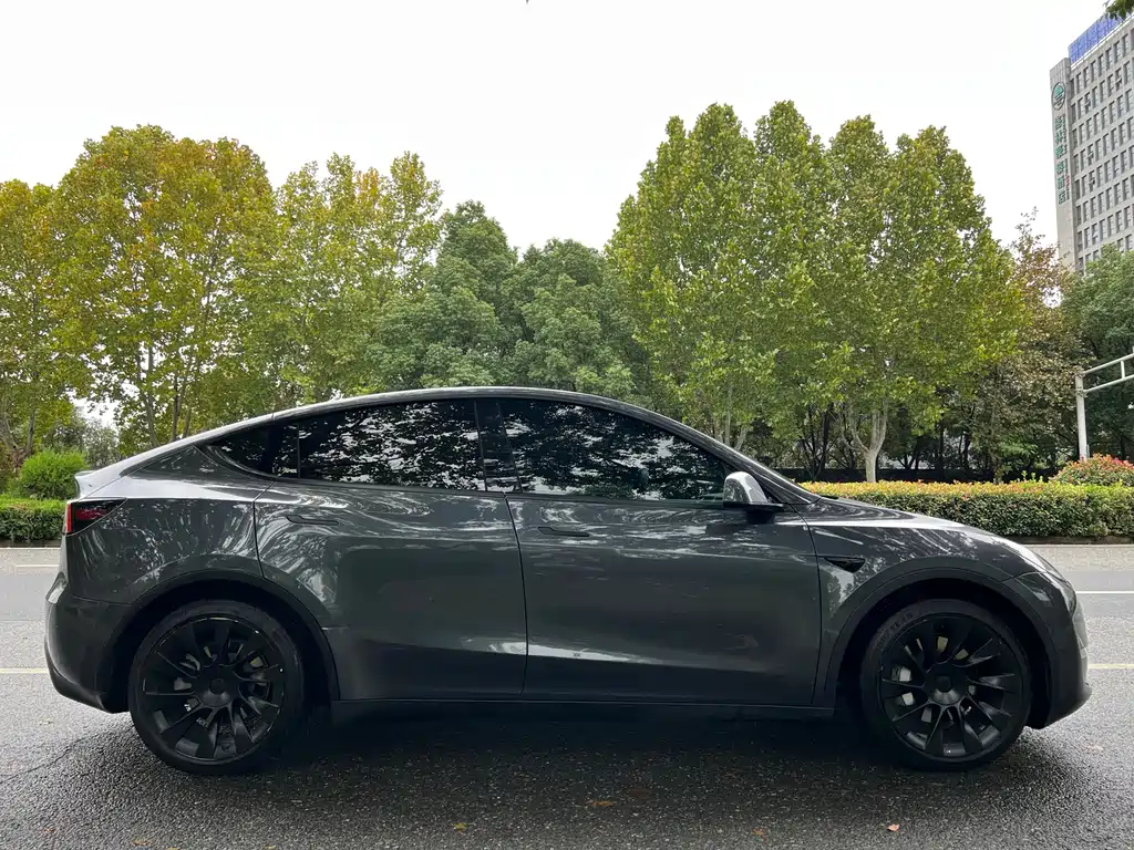 Tesla Model Y 2021 — фото 6