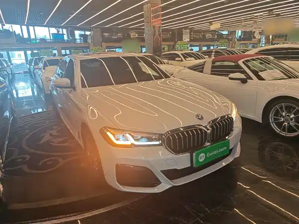 BMW 5 Series New Energy 2022