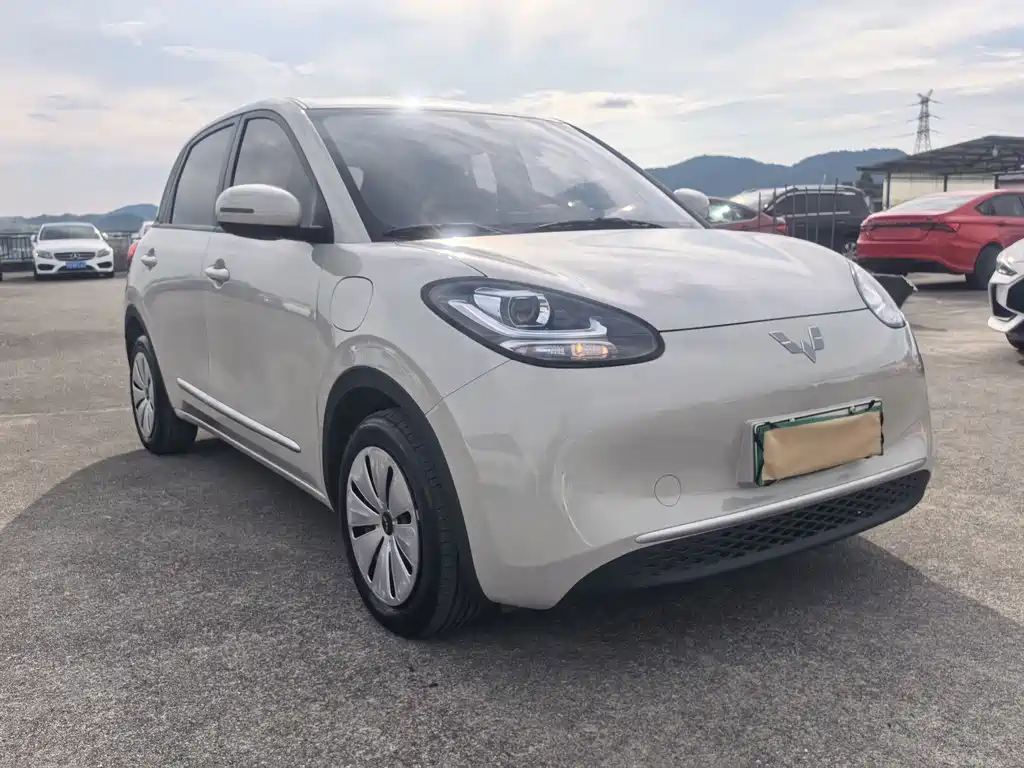 Wuling Bingo 2024