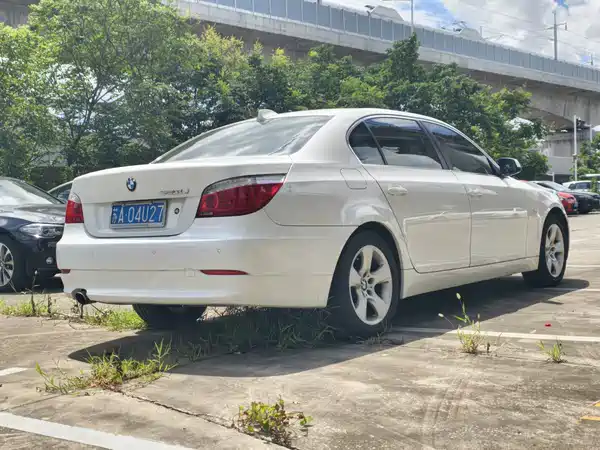 BMW 5 Series 2010