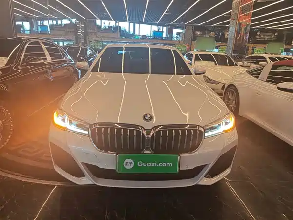 BMW 5 Series New Energy 2022