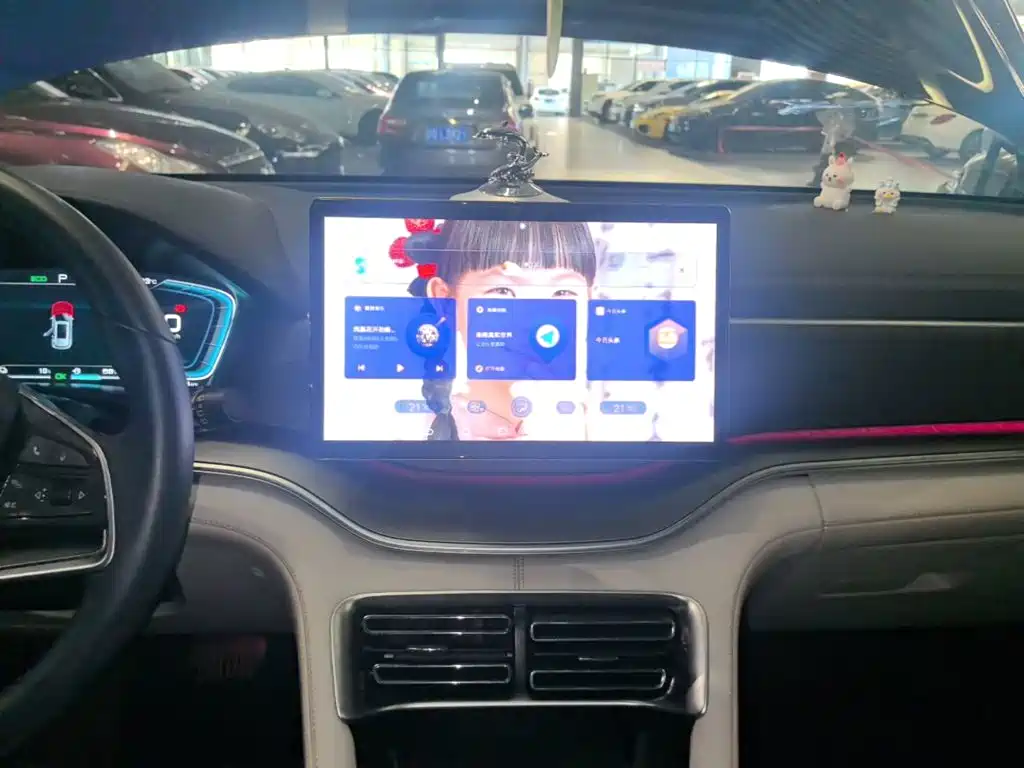 BYD Song PLUS New Energy 2023 — фото 13