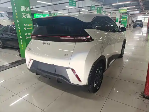 BYD Seagull 2024