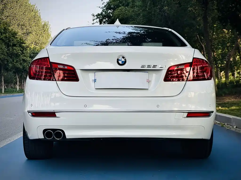 BMW 5 Series 2014
