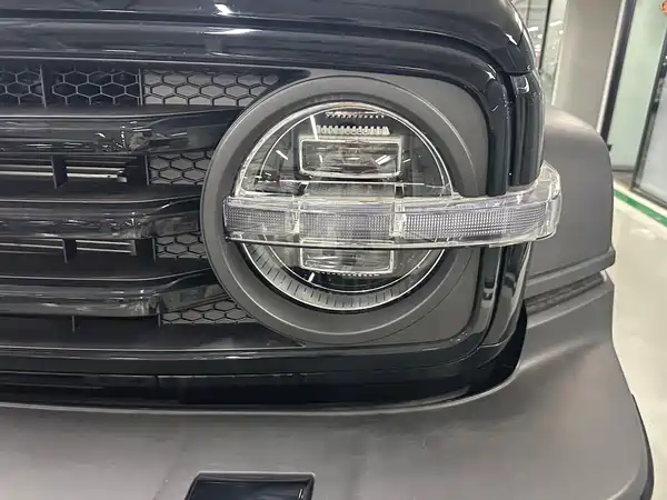 Tank 300 New Energy 2026