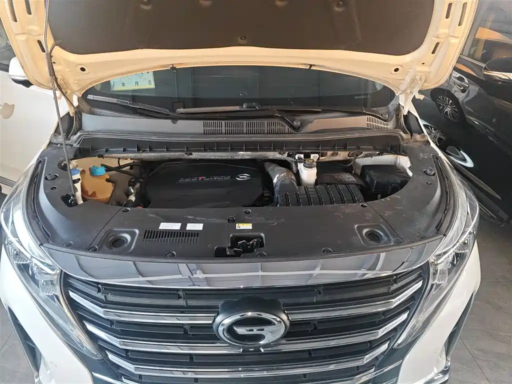 GAC Motor Trumpchi M8 2021 — фото 10