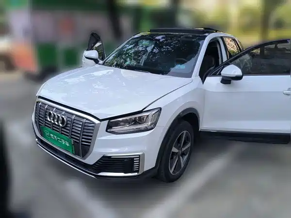 Audi Q2L E-Tron 2021