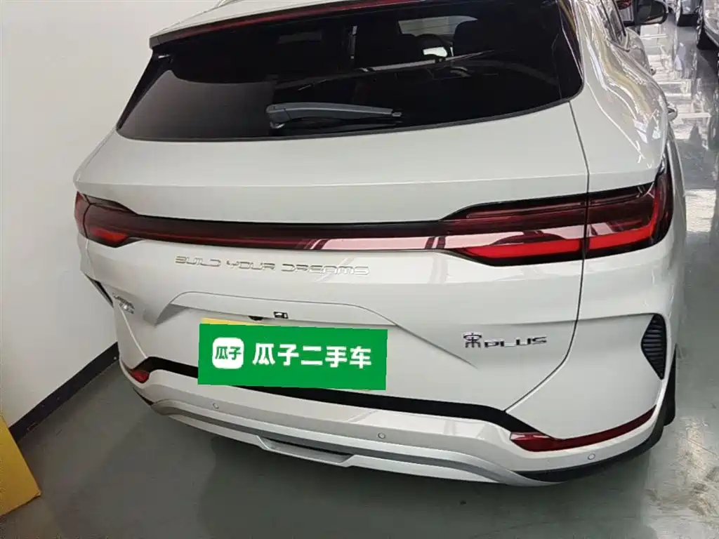 BYD PLUS New Energy 2024 — фото 6