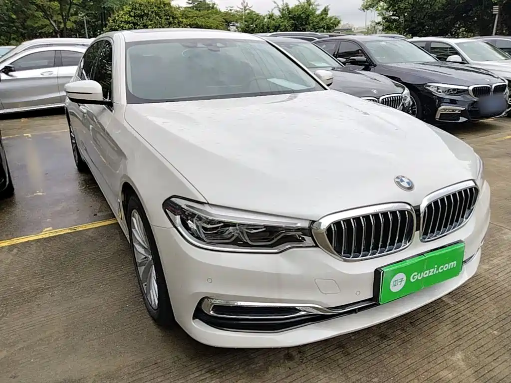 BMW 5 Series New Energy 2020