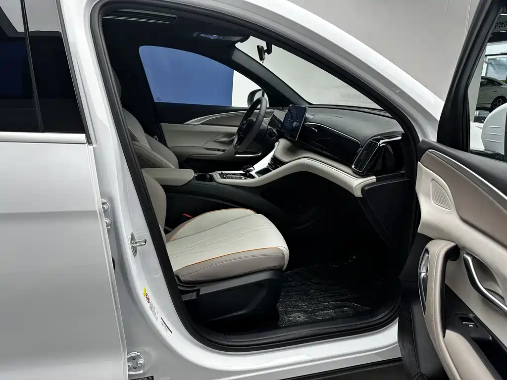 BYD Song Pro New Energy 2024 — фото 10