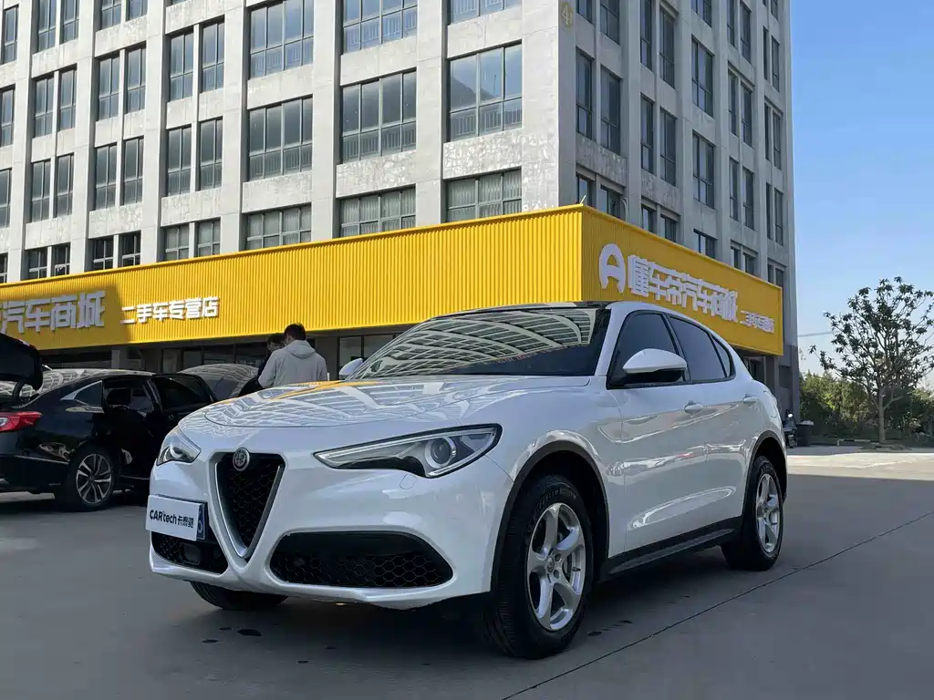 Alfa Romeo Stelvio 2019 — фото 1