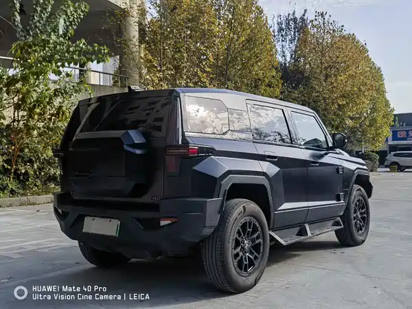Mengshi 917 2023