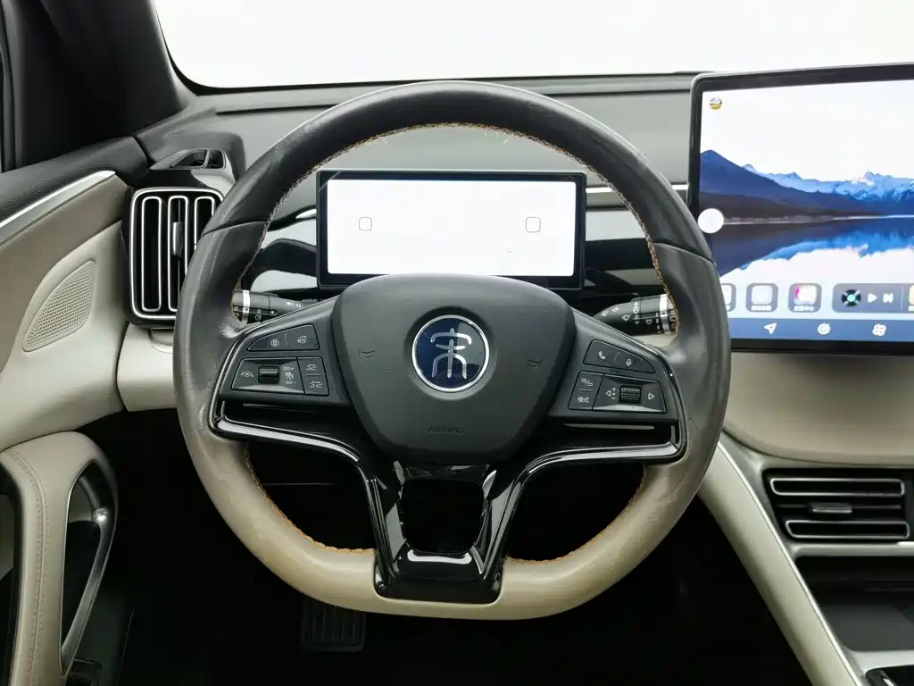 BYD Song Pro New Energy 2023 — фото 11