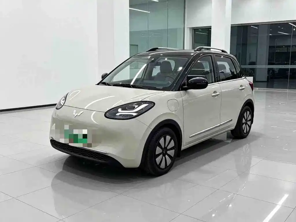Wuling Bingo 2024