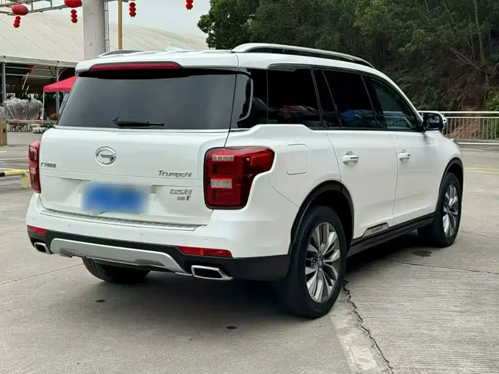 GAC Trumpchi GS8 2019 — фото 17