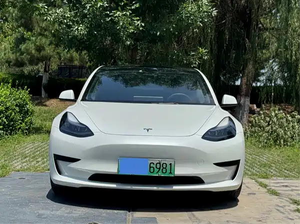Tesla Model 3 2022