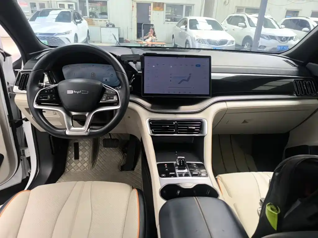 BYD Song PLUS New Energy 2024 — фото 6