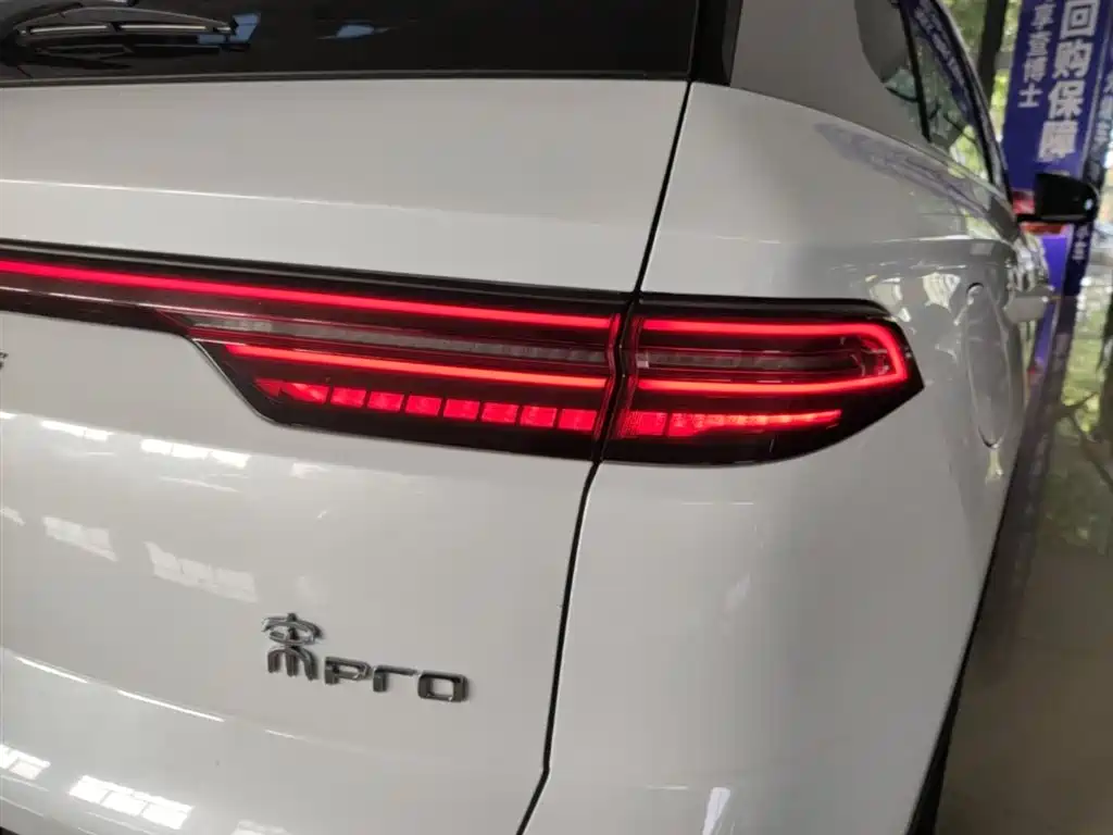 BYD Pro New Energy 2024 — фото 8
