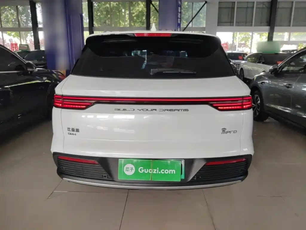 BYD Pro New Energy 2024 — фото 6
