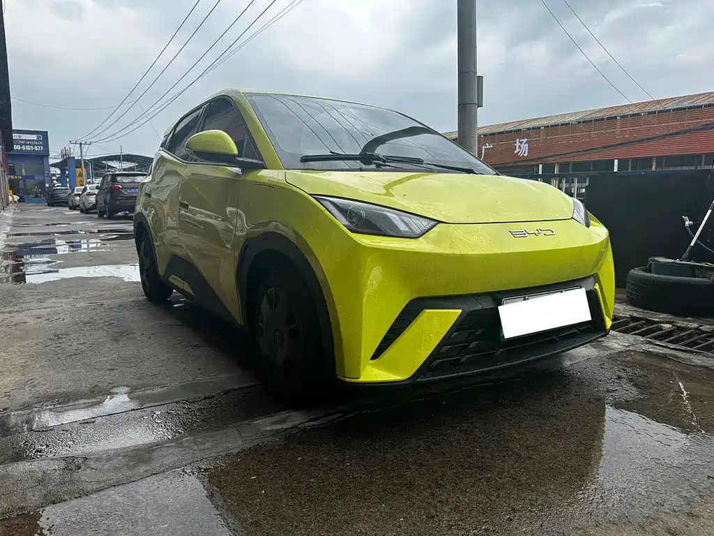 BYD Seagull 2024