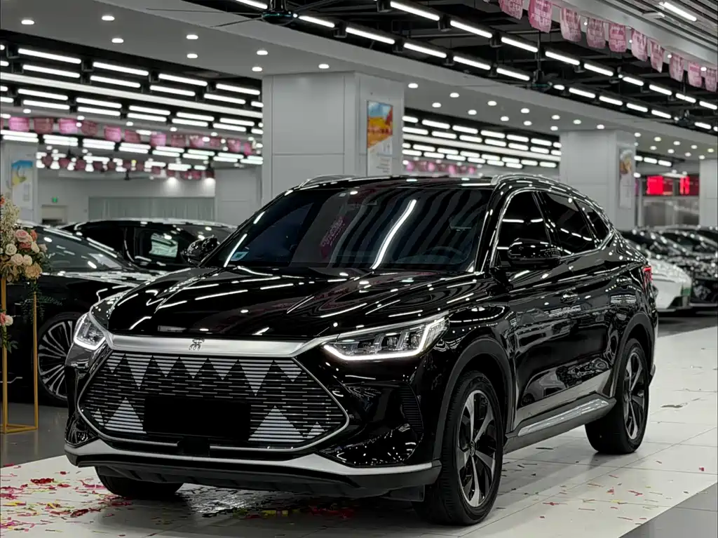 BYD PLUS New Energy 2021 — фото 1