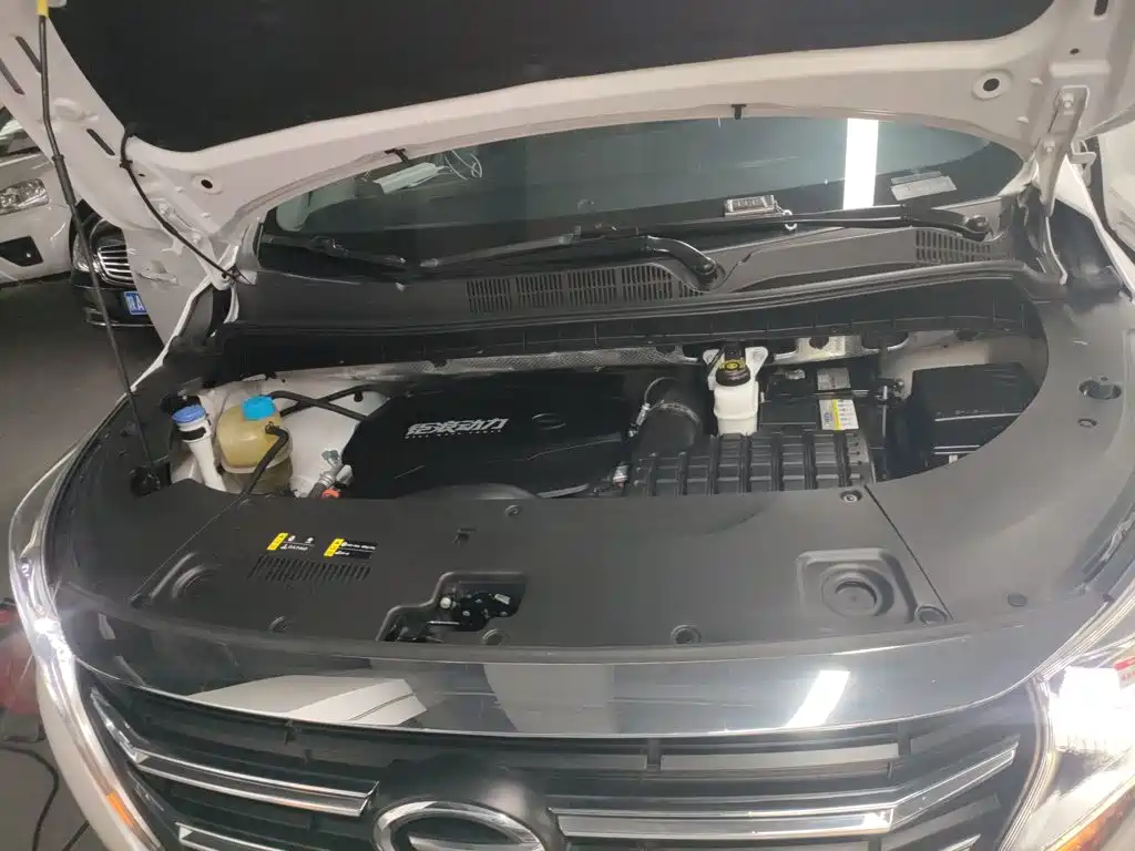 GAC Trumpchi M8 2023 — фото 20