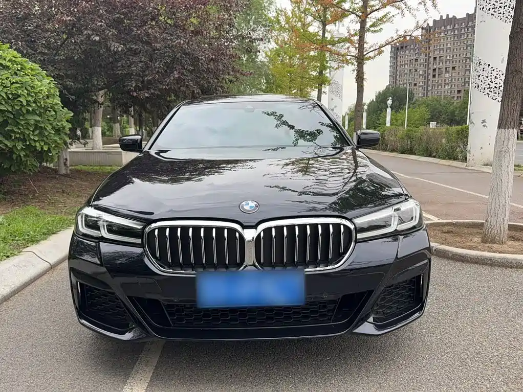 BMW 5 Series 2022