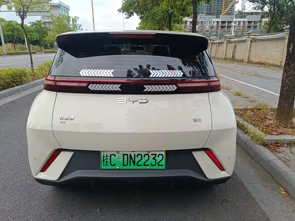 BYD Seagull 2024