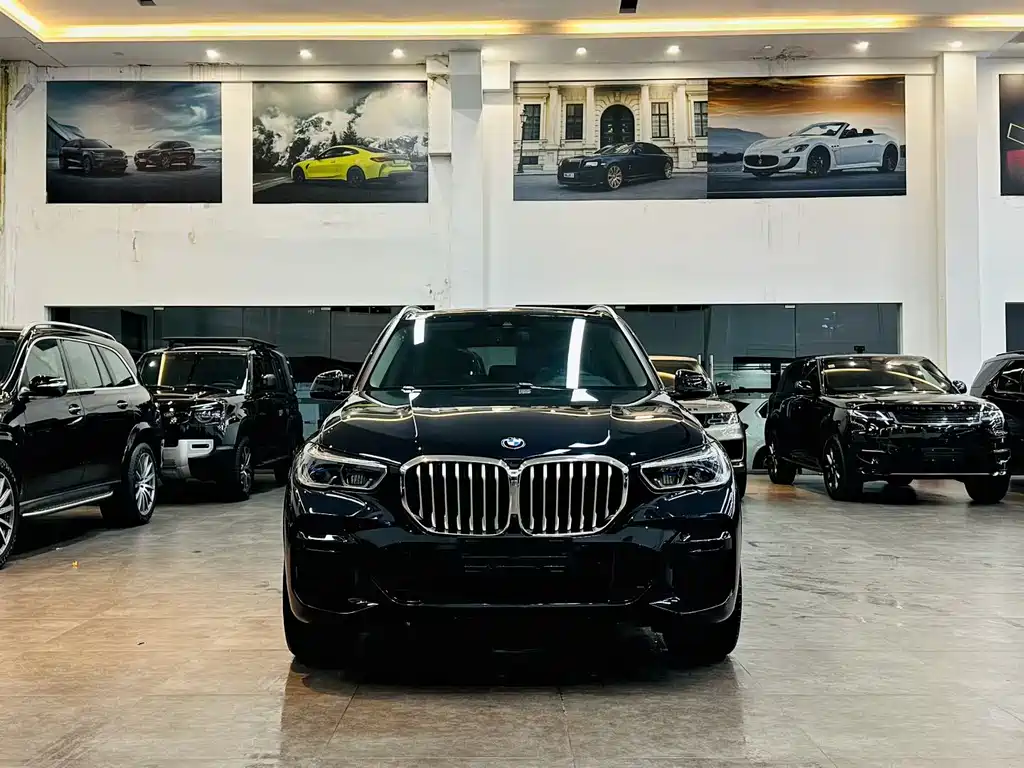 BMW X5 2022 — фото 2
