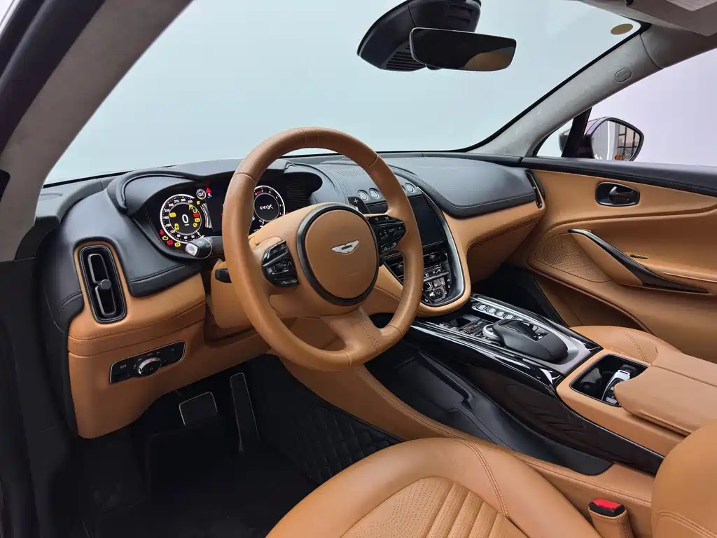 Aston Martin DBX 2021 — фото 14
