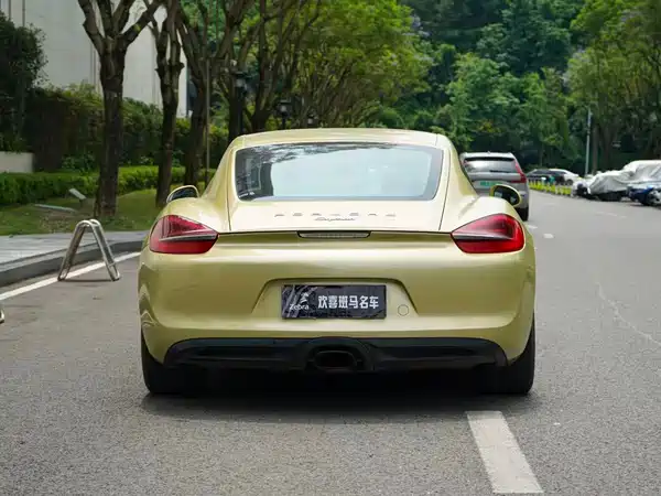 Porsche Cayman 2013