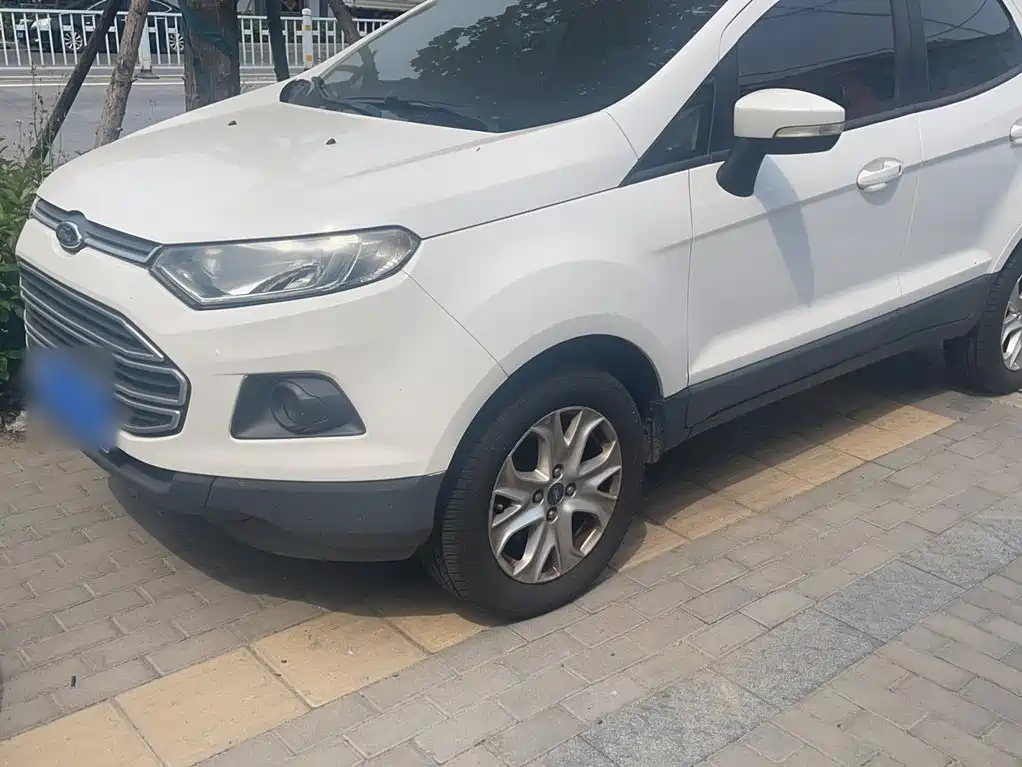 Ford Ecosport 2015 — фото 25